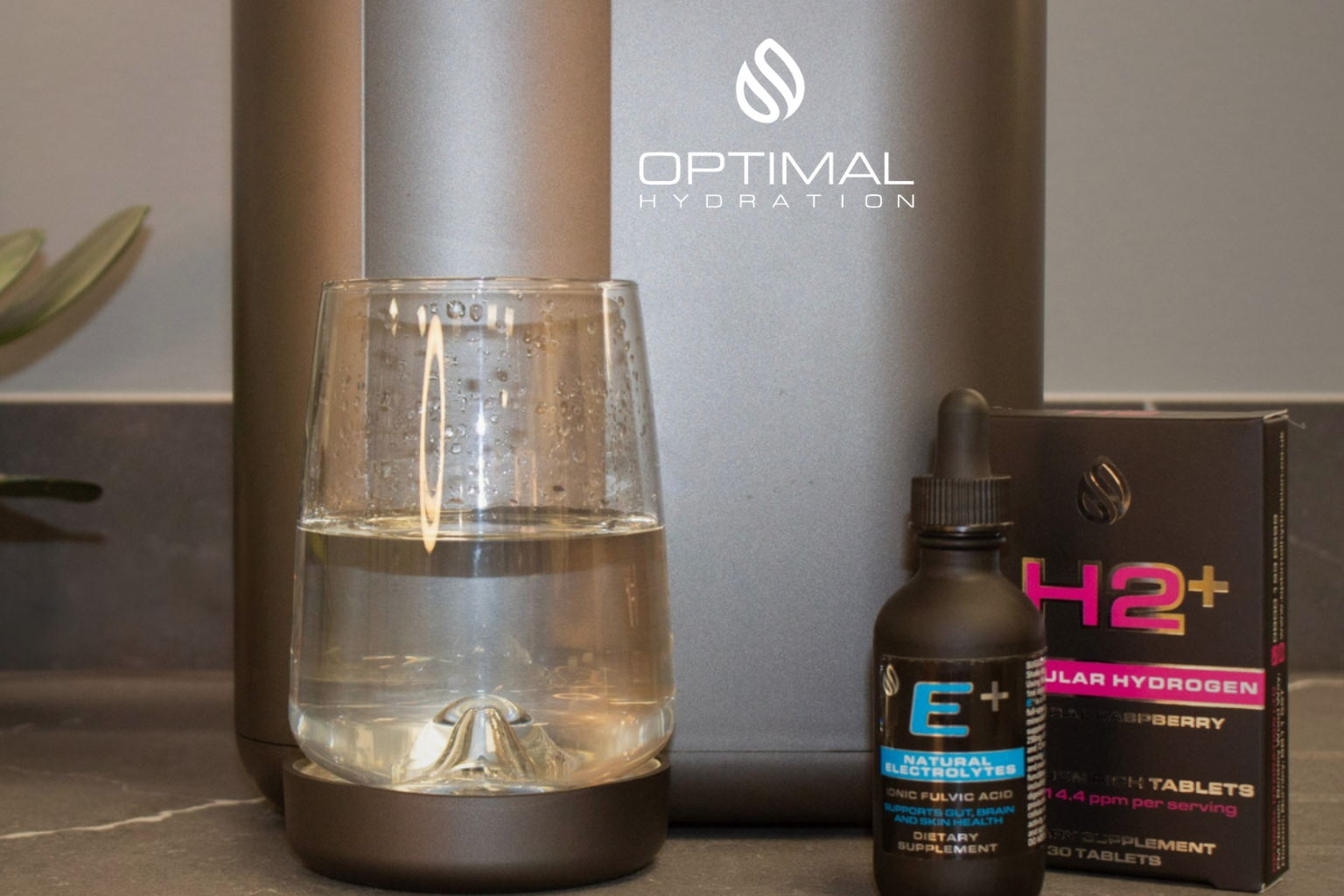 Proof, People and Performance: Recovery with Molecular Hydrogen